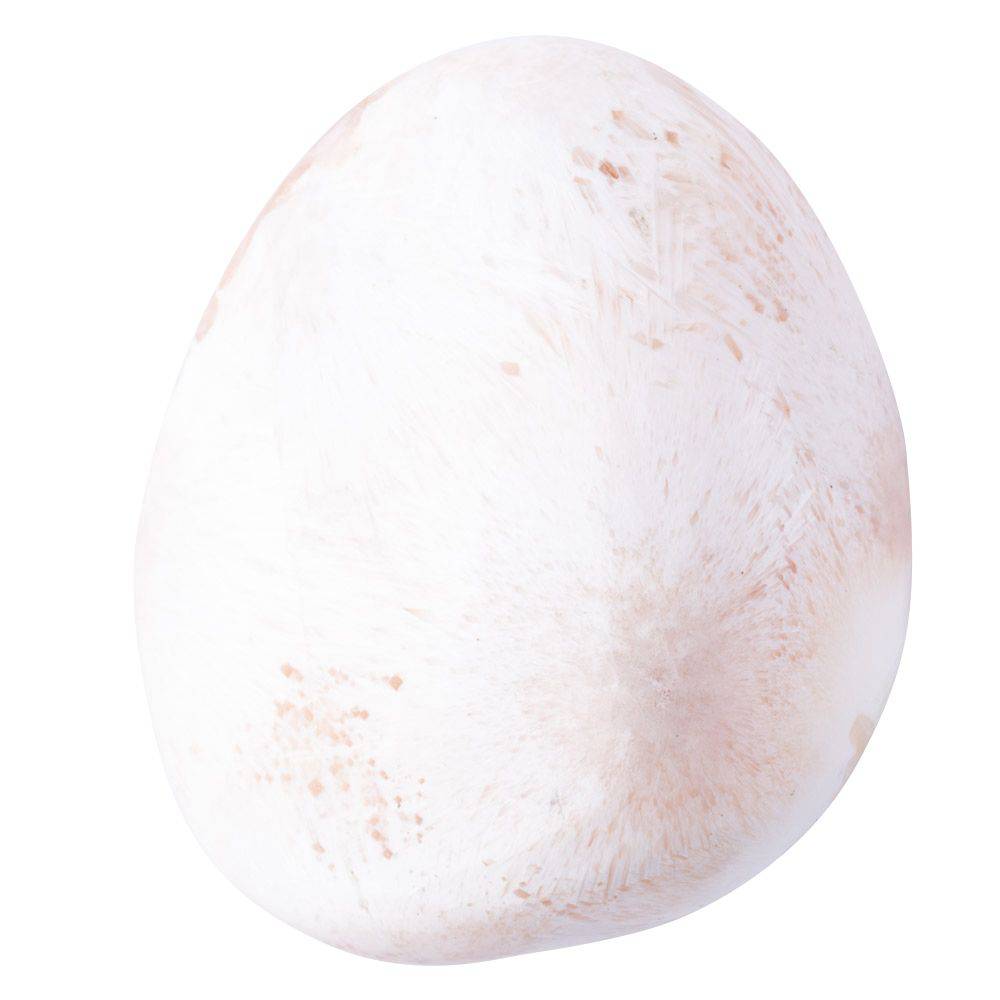 Pink Scolecite Tumblestone - Medium - Crystal Nest