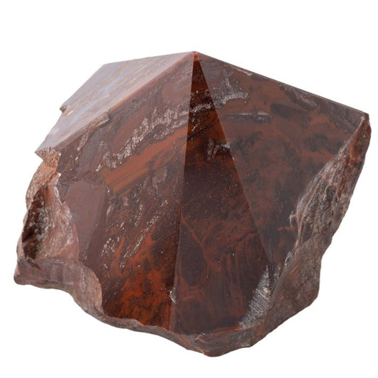 Petrified Wood Polished Point | Grounding