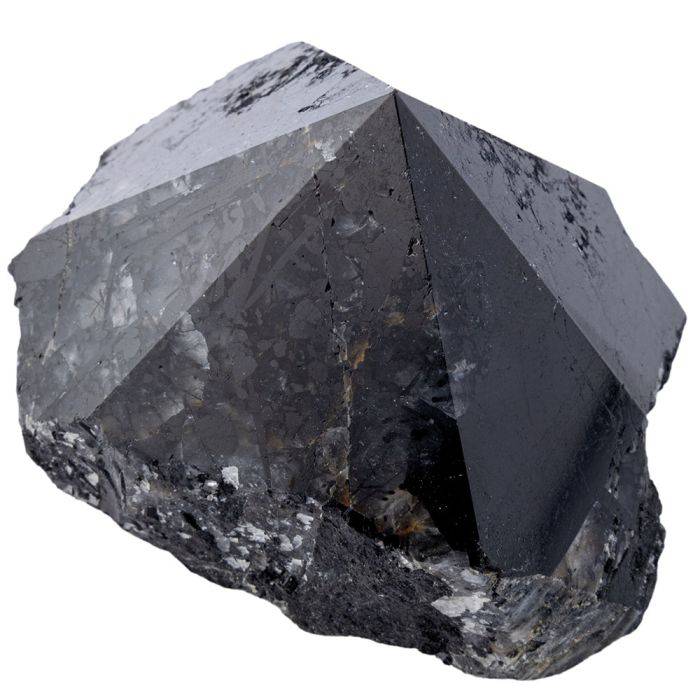 Black Tourmaline Polished Top Point - Crystal Nest