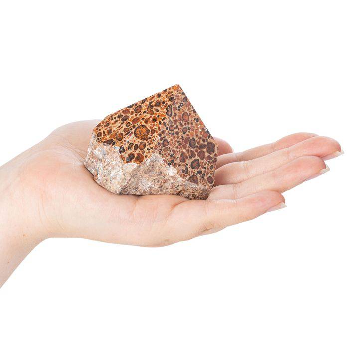 Leopard Skin Jasper Polished Top Point - Crystal Nest