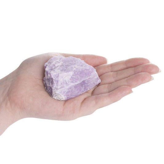 Kunzite Raw Crystal - Large - Crystal Nest