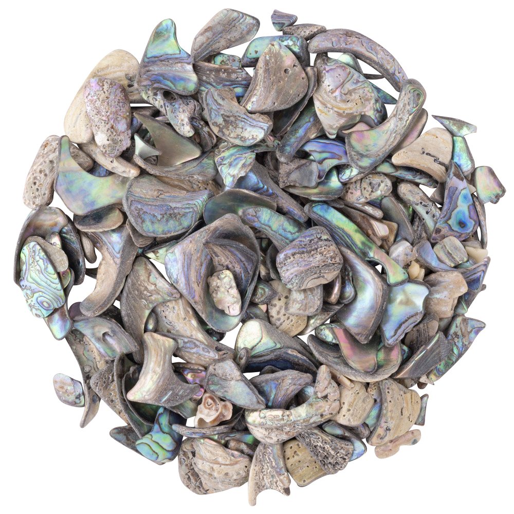 Abalone Tumbled Shell Pieces - Crystal Nest