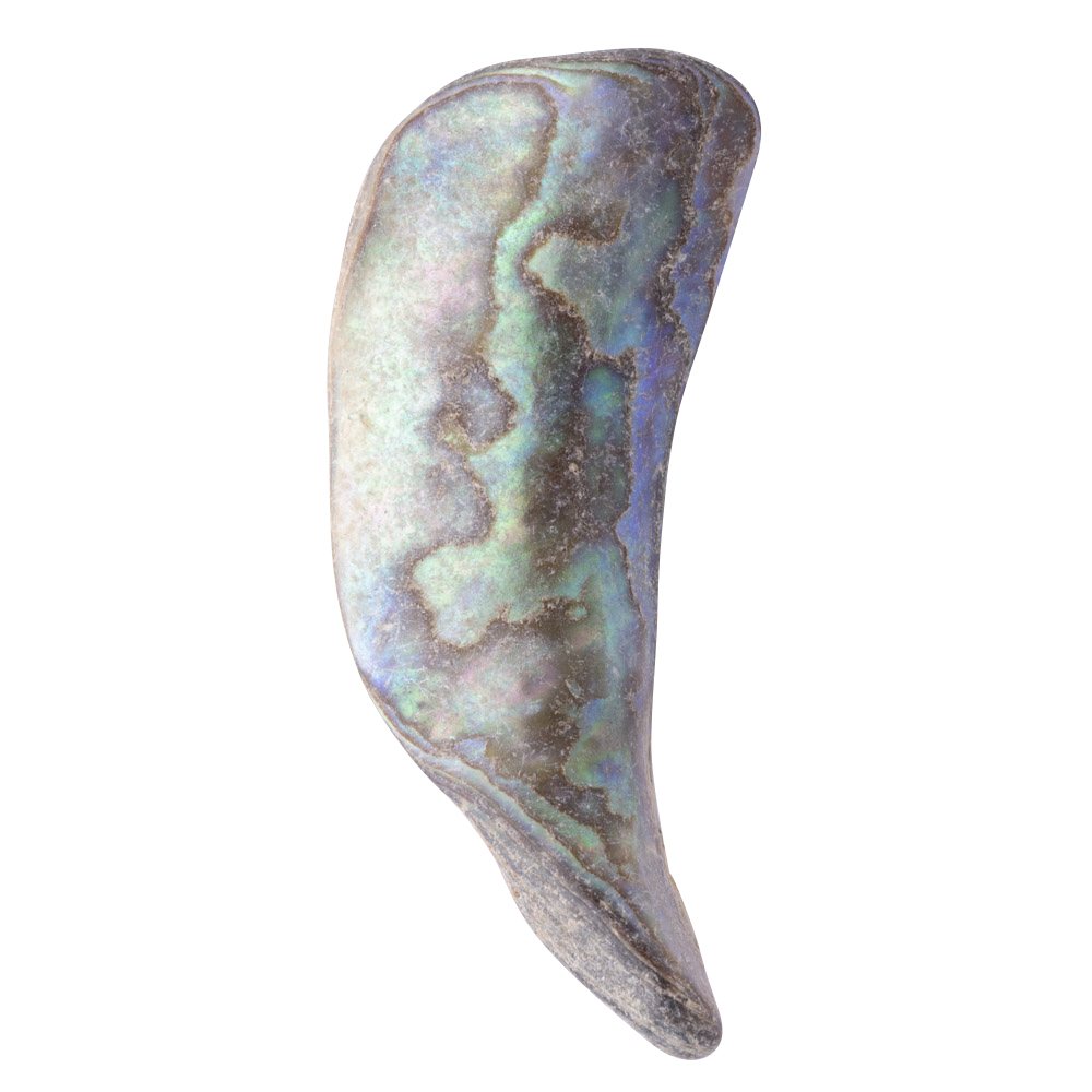 Abalone Tumbled Shell Pieces - Crystal Nest