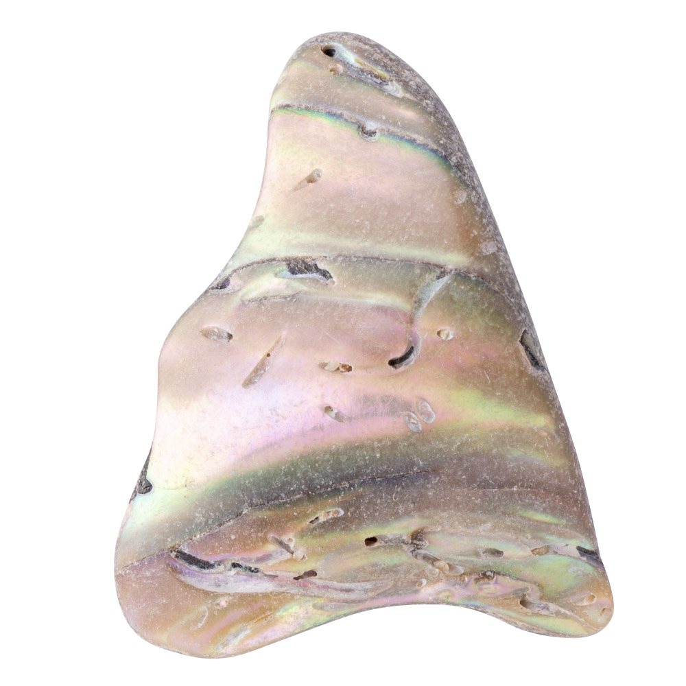 Abalone Tumbled Shell Pieces - Crystal Nest
