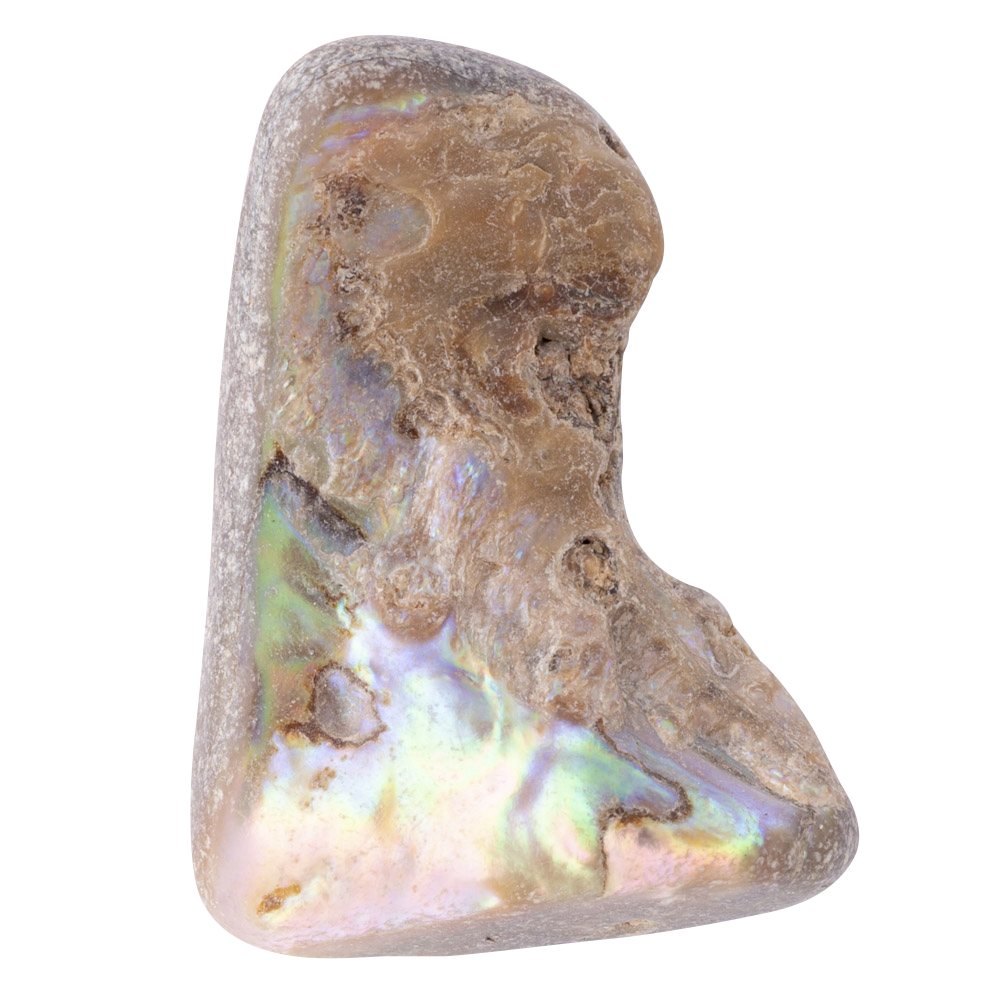 Abalone Tumbled Shell Pieces - Crystal Nest