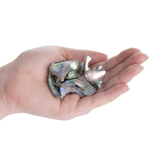 Abalone Tumbled Shell Pieces