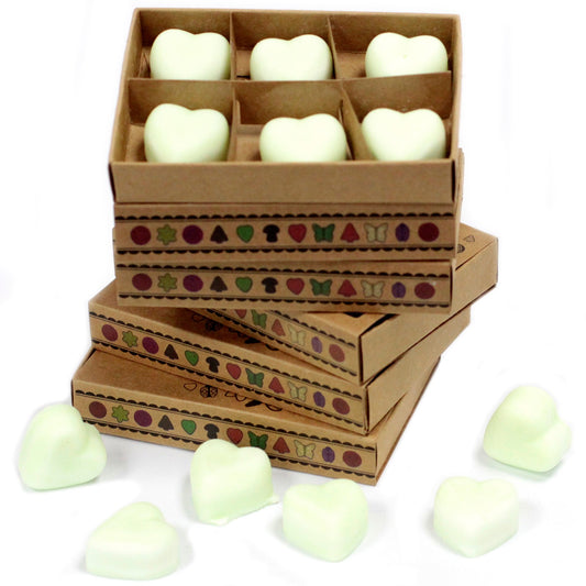 Apple Spice Soy Wax Melts | Pack of 6
