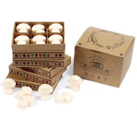 Vanilla Nutmeg Soy Wax Melts | Pack of 6