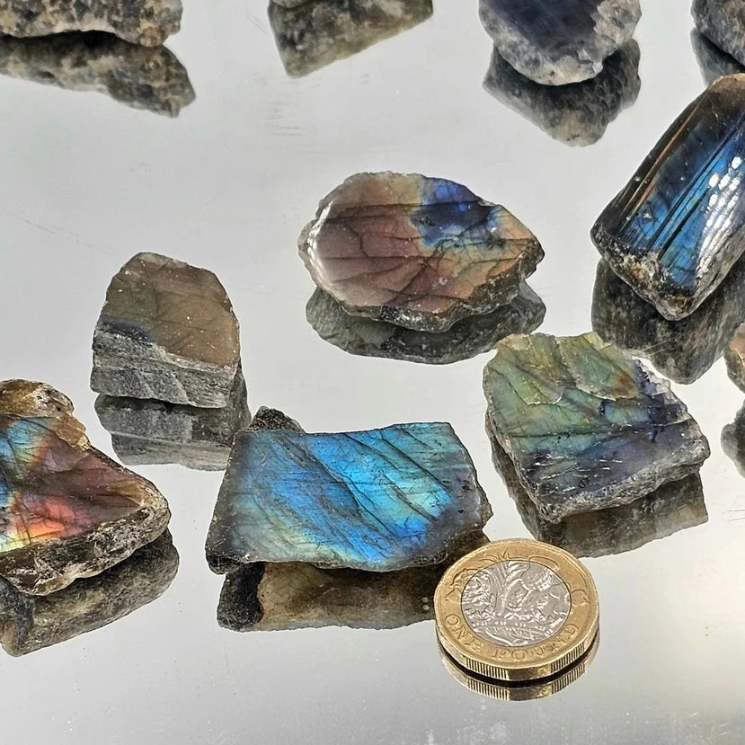Labradorite Mini Crystal Slices - Crystal Nest