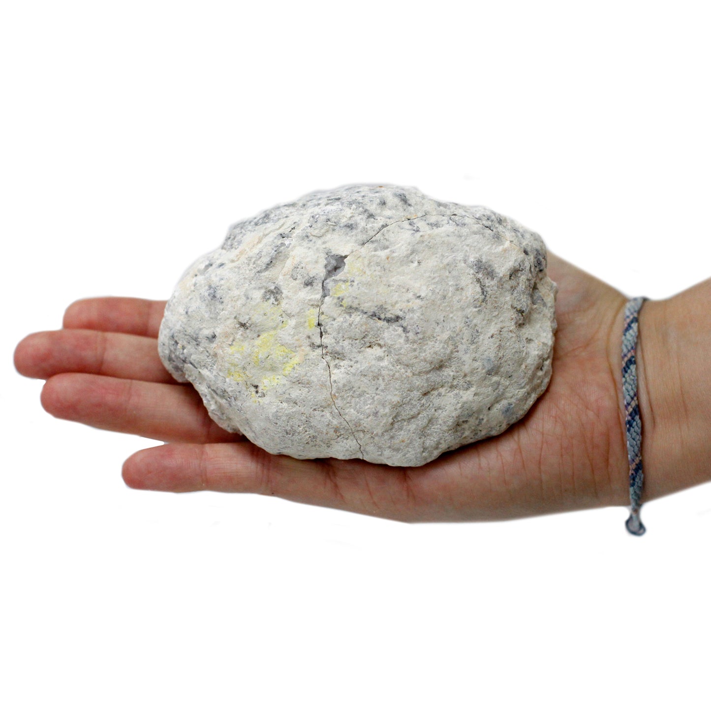 Calcite Geodes - Medium - Crystal Nest