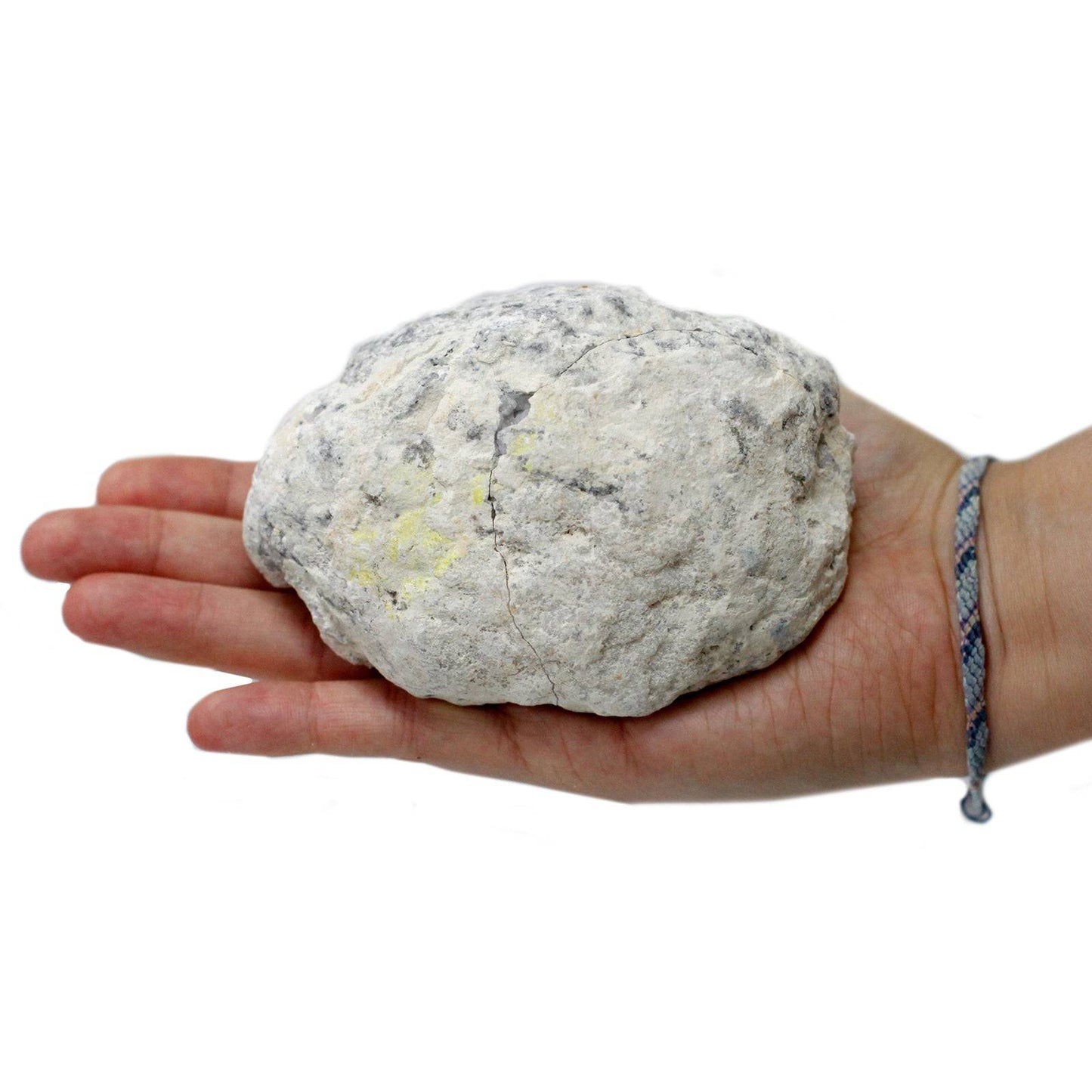 Calcite Geodes - Medium - Crystal Nest