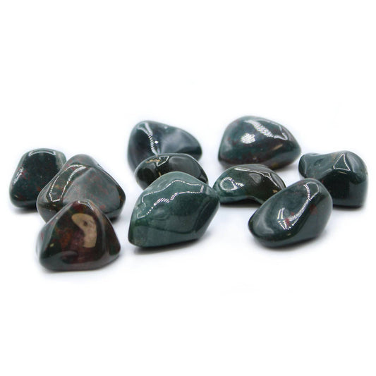 Bloodstone Tumblestone - Medium - Crystal Nest