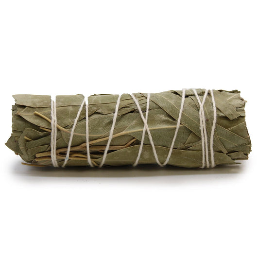 Smudge Stick - White Sage & Eucalyptus - Crystal Nest