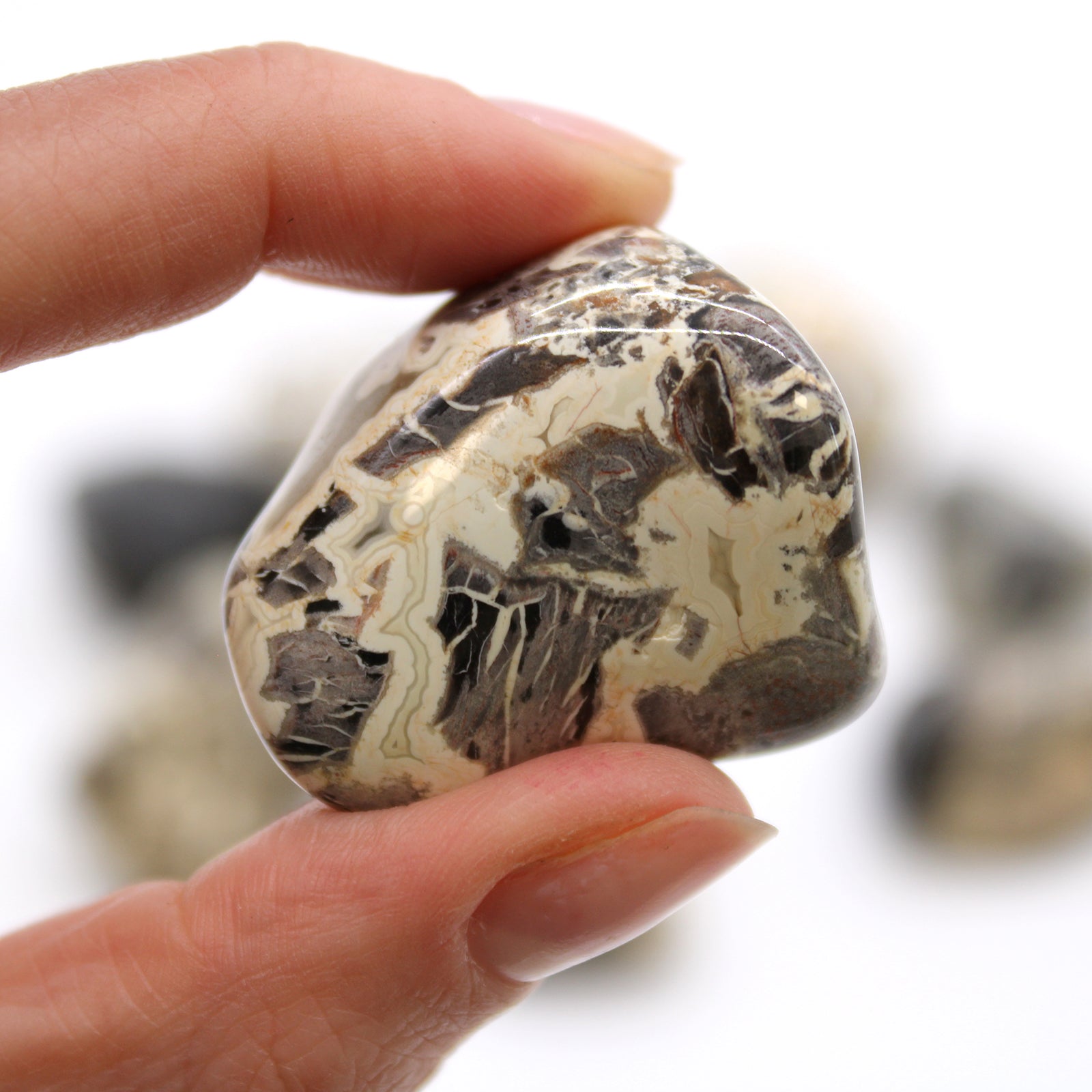 Silverleaf Jasper Tumblestone - Large - Crystal Nest