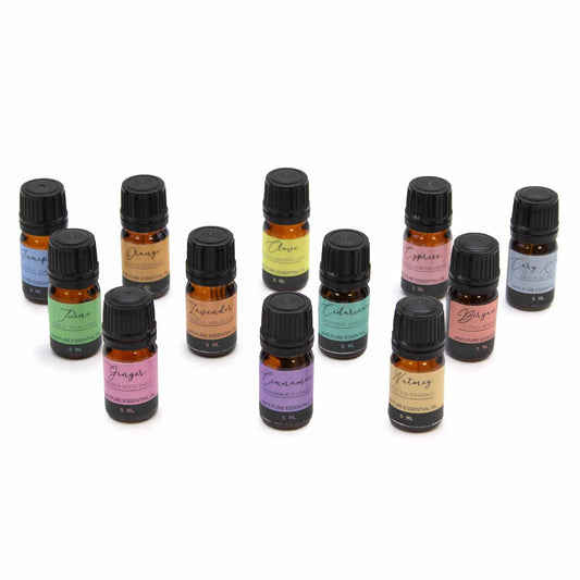 12 x Autumn Aromatherapy Essential Oil Set - Crystal Nest