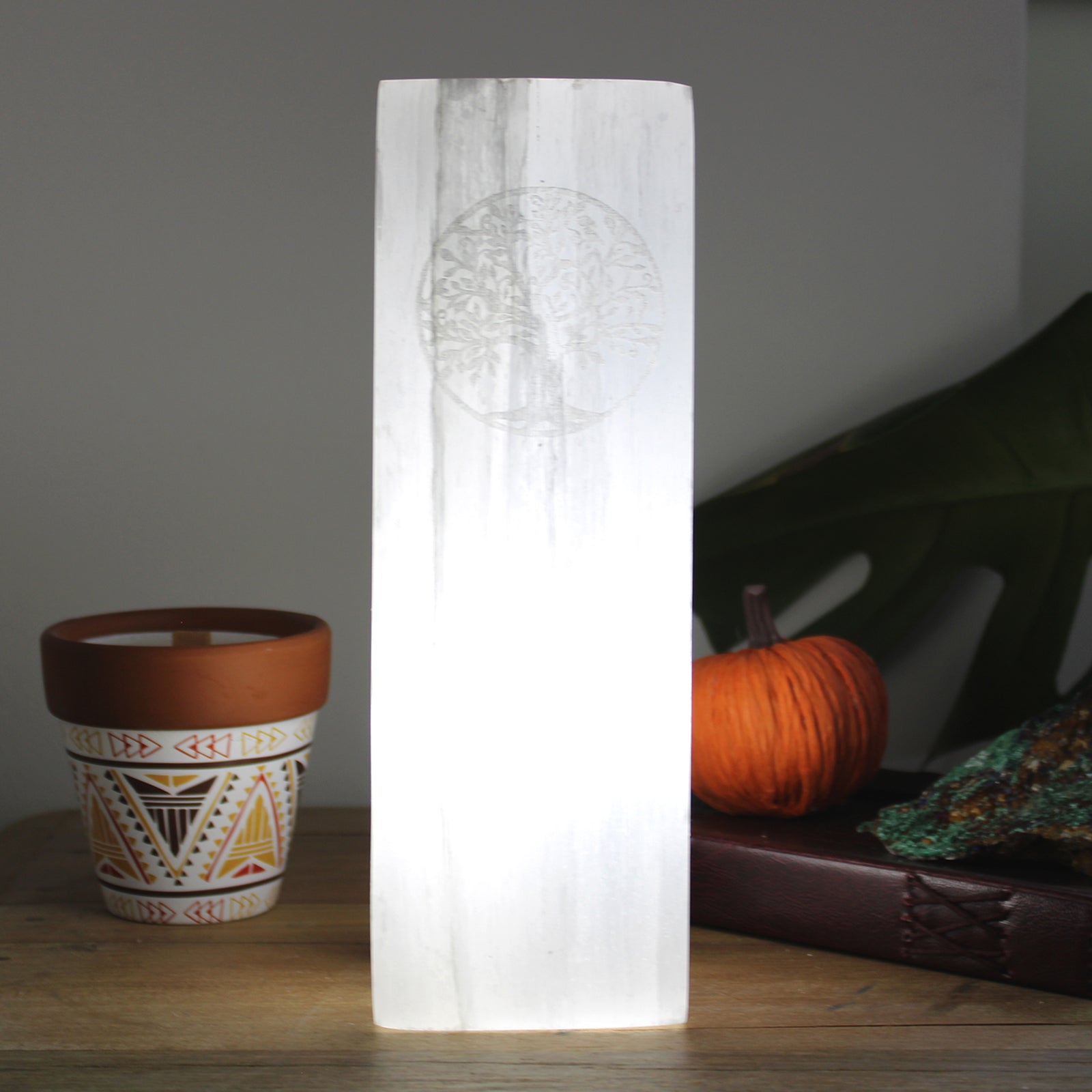 Tree of Life Selenite Lamp | Spiritual Healing & Soothing Cleansing Light | 25cm - Crystal Nest