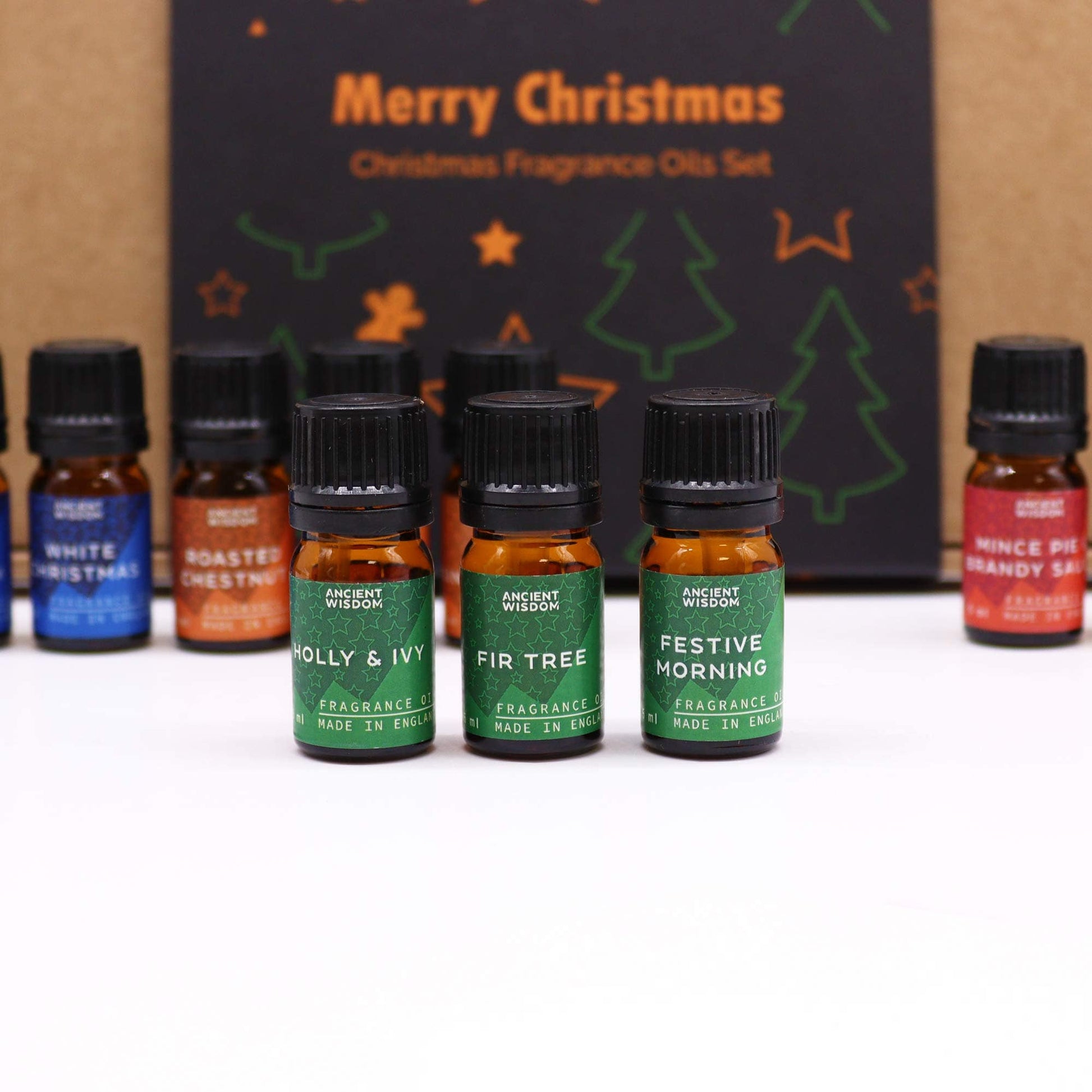 12 x Festive Delights Fragrance Oils Set - Crystal Nest