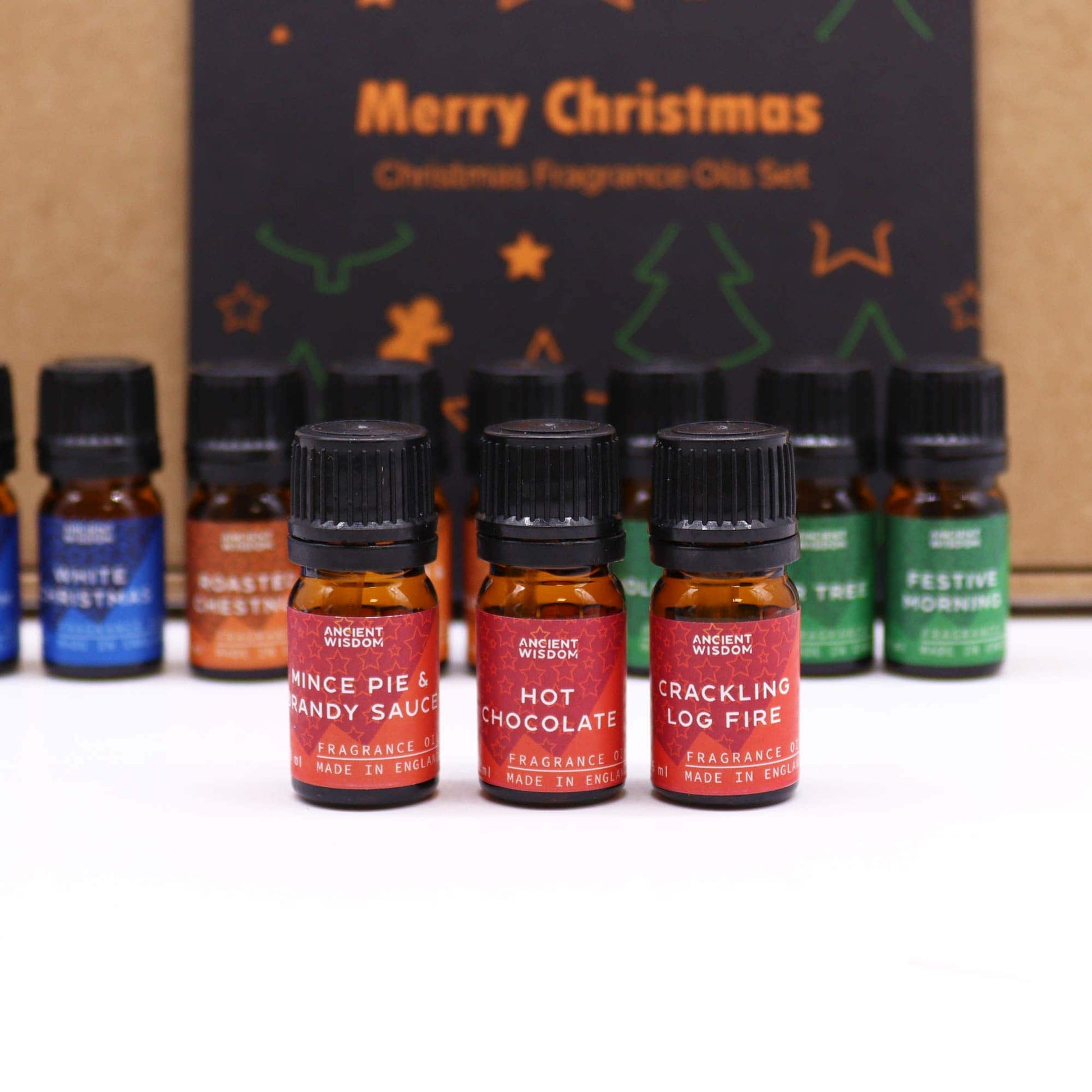 12 x Festive Delights Fragrance Oils Set - Crystal Nest
