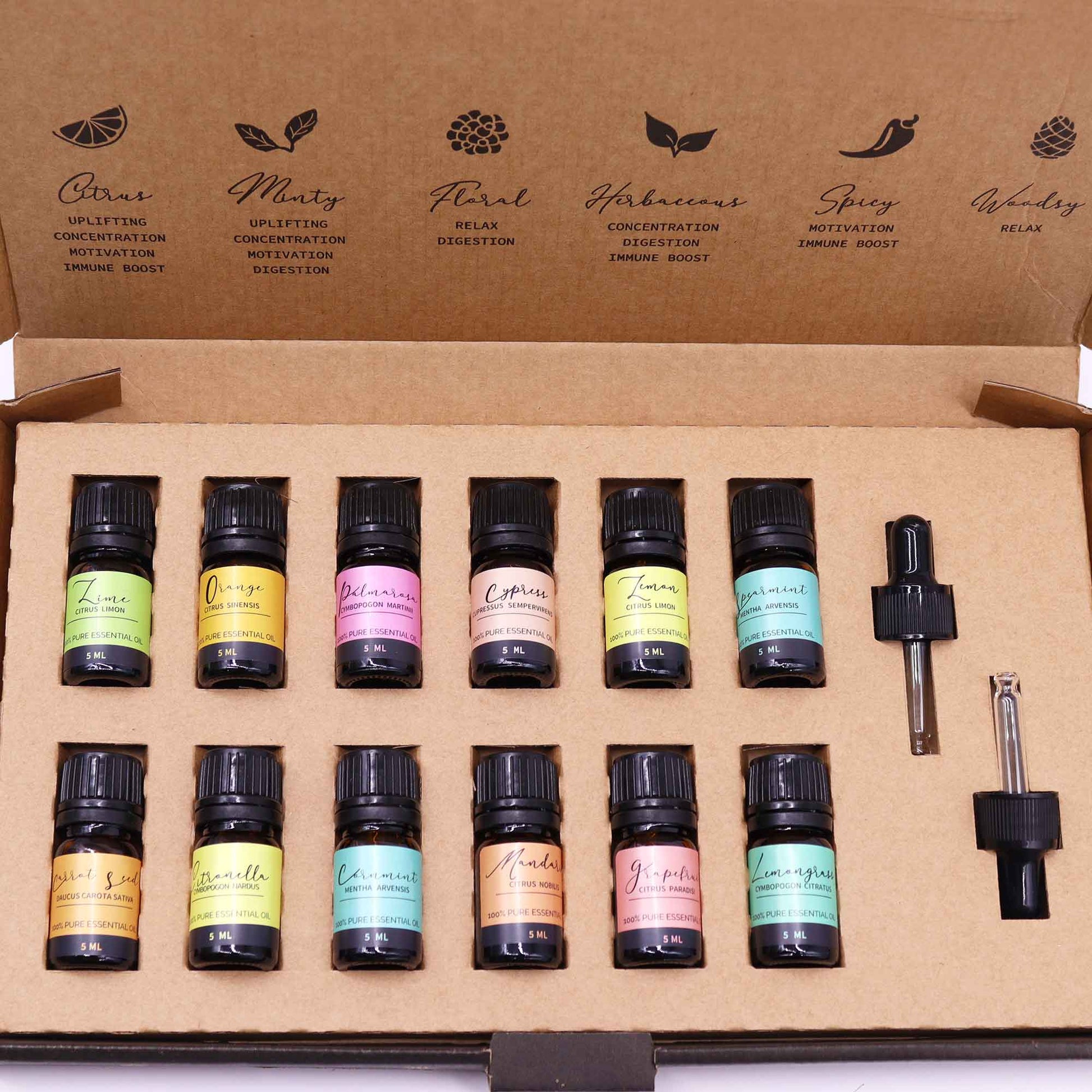 Summer Magic Essential Oil Gift Set | 12 Pure Oils for Sunshine Vibes - Crystal Nest