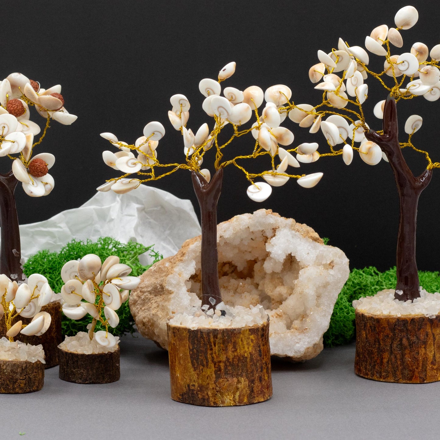 Gomati Chakra Stone Tree | Medium - Crystal Nest