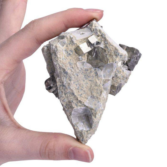 Pyrite Cubes in Matrix - Crystal Nest