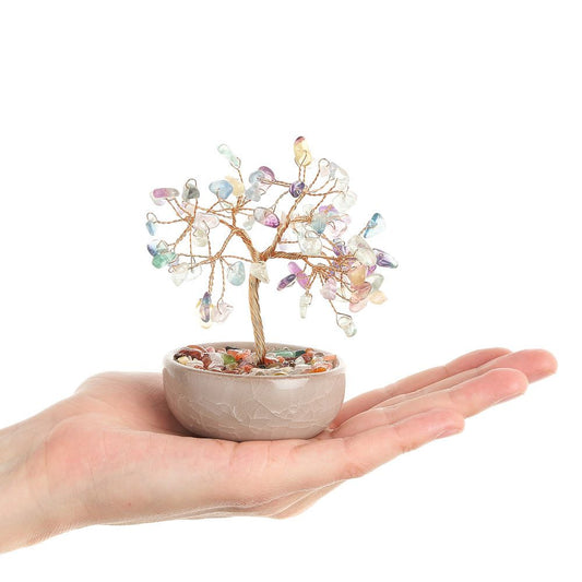 Rainbow Fluorite Gemstone Tree in Ceramic Cup - Crystal Nest