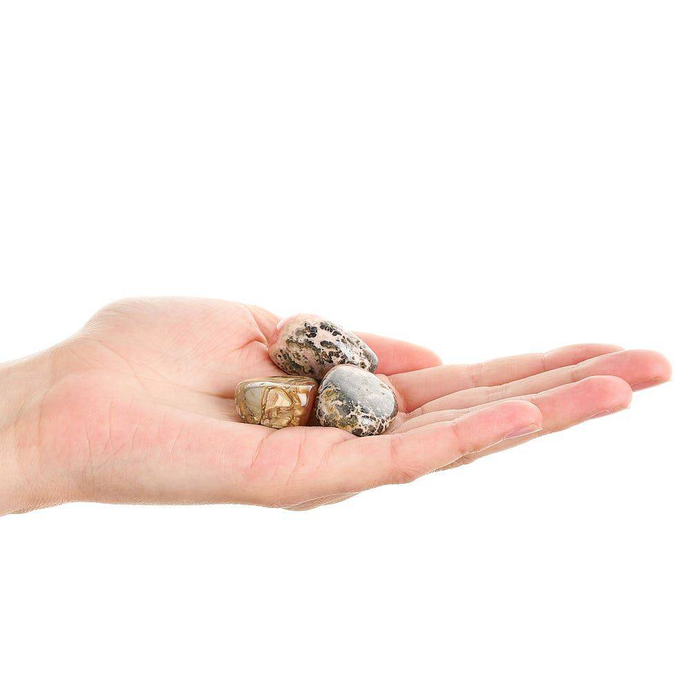 Rhodochrosite Tumblestone - Medium - Crystal Nest