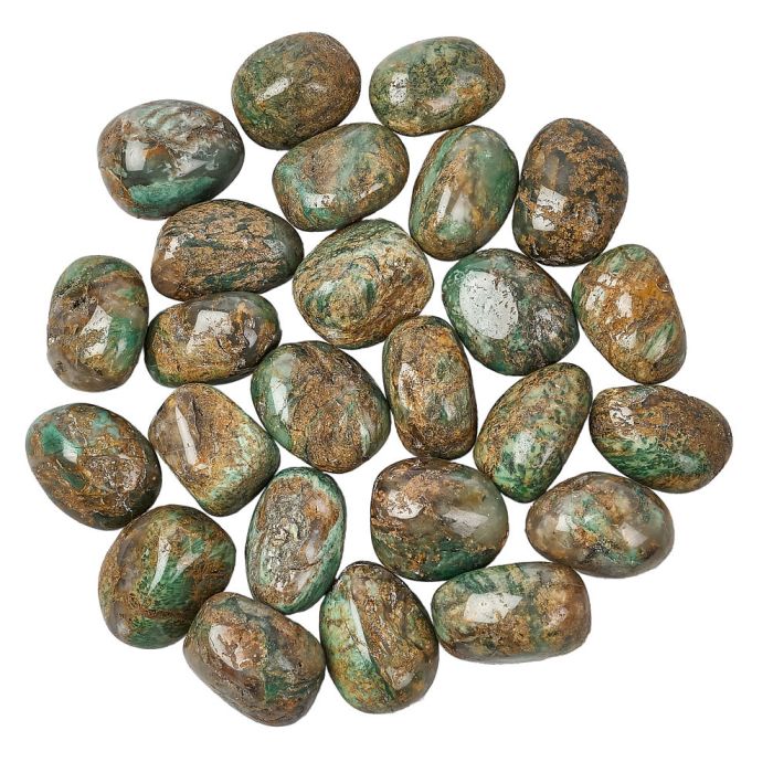 African Green Jasper Tumblestone | Medium - Crystal Nest
