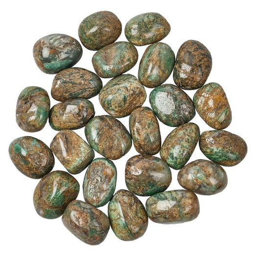 African Green Jasper Tumblestone | Medium - Crystal Nest