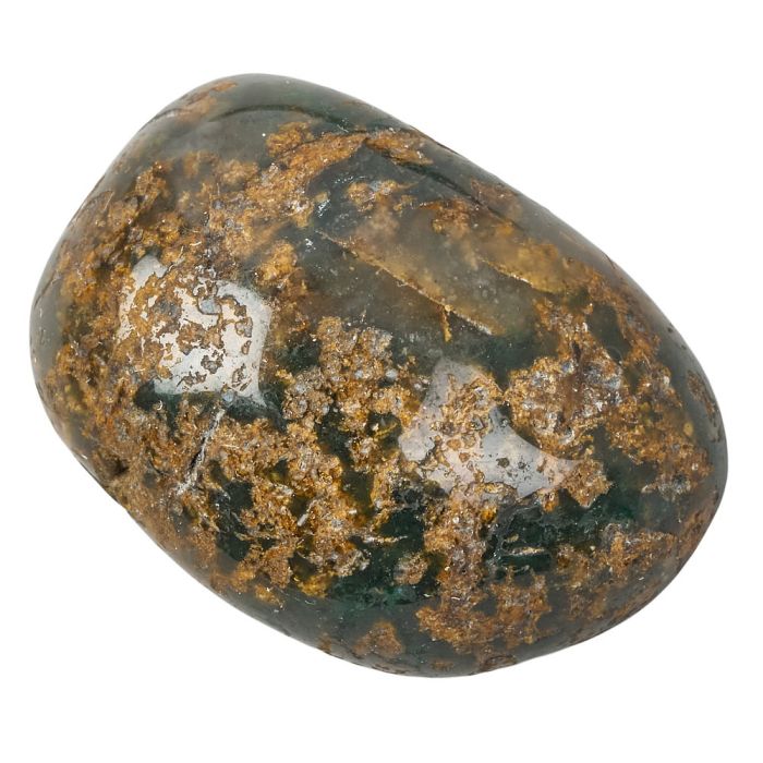 African Green Jasper Tumblestone | Medium - Crystal Nest