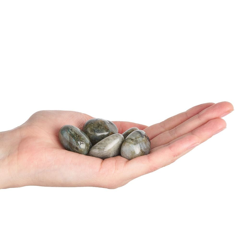 Labradorite Tumblestone | Medium - Crystal Nest