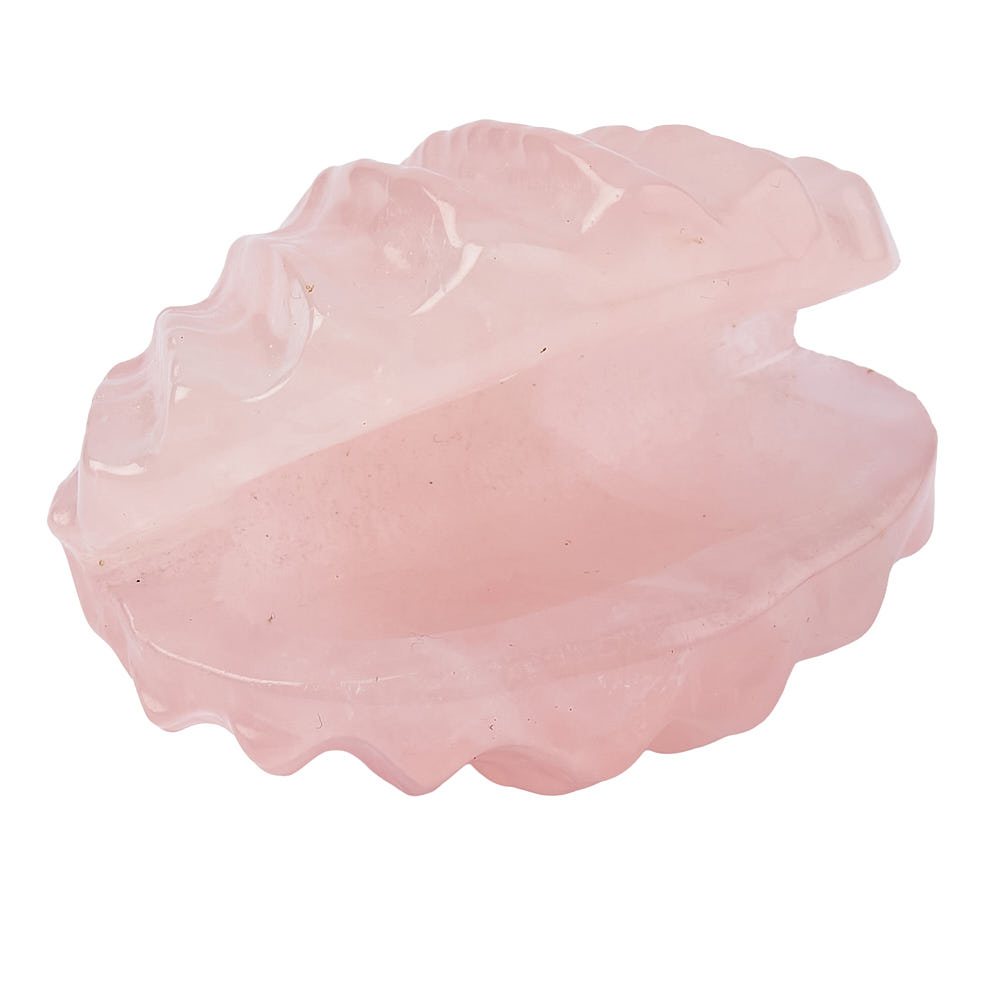 Rose Quartz Crystal Shell - Crystal Nest