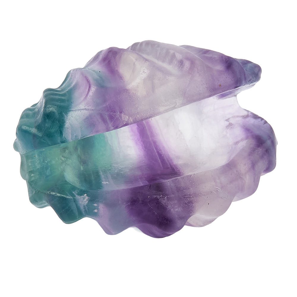 Rainbow Fluorite Crystal Shell - Crystal Nest
