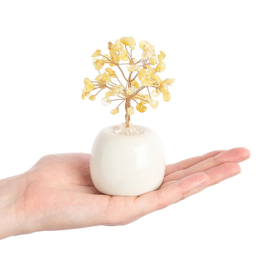 Citrine Crystal Gem Tree in Flowerpot | Money Tree for Abundance & Prosperity - Crystal Nest