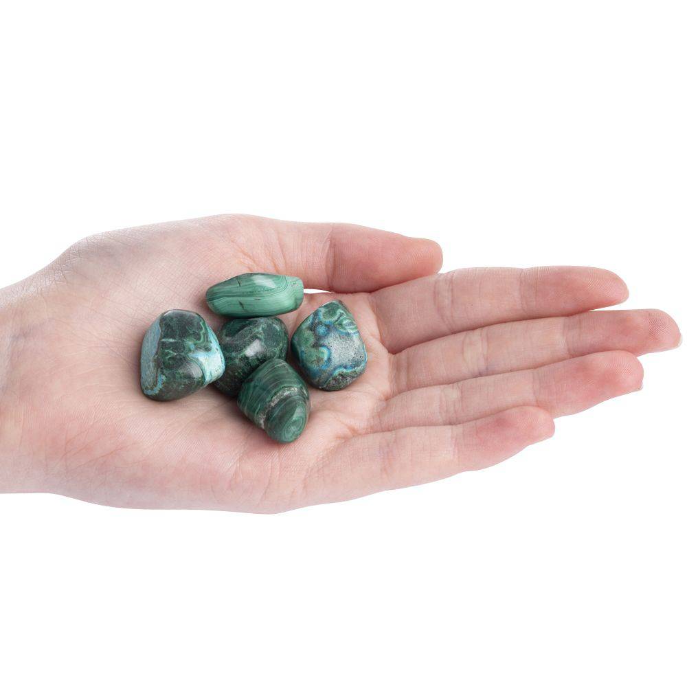 Malacholla Tumblestone - Small - Crystal Nest