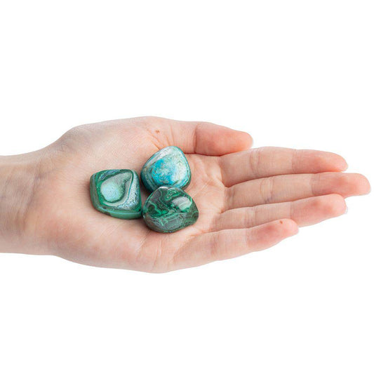 Malacholla Tumblestone - Medium - Crystal Nest