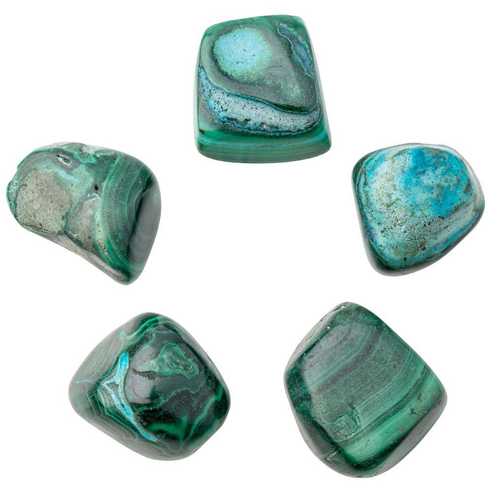 Malacholla Tumblestone - Medium - Crystal Nest