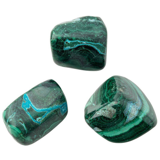 Malacholla Tumblestone - Large - Crystal Nest