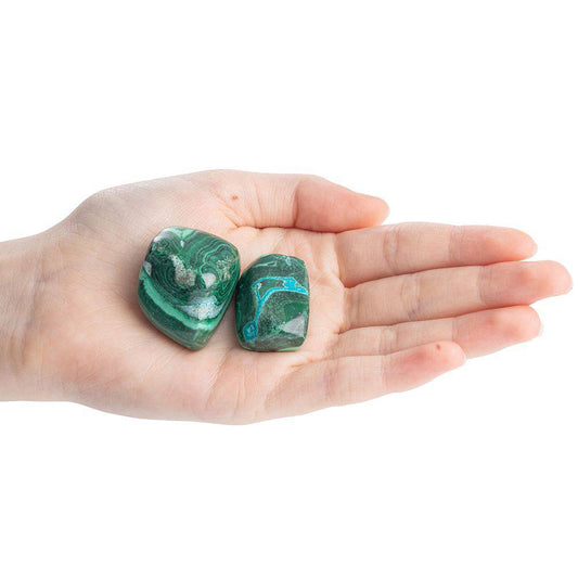 Malacholla Tumblestone - Large - Crystal Nest