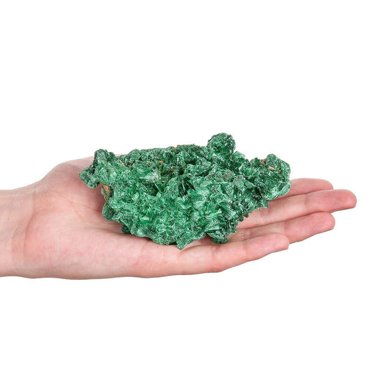 Fibrous Malachite Cluster | Medium - Crystal Nest