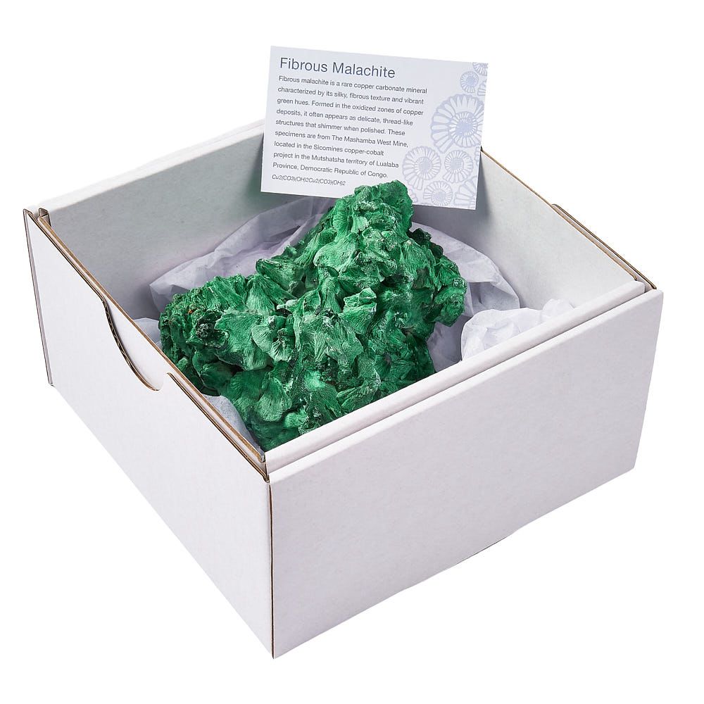 Fibrous Malachite Cluster | Large - Crystal Nest