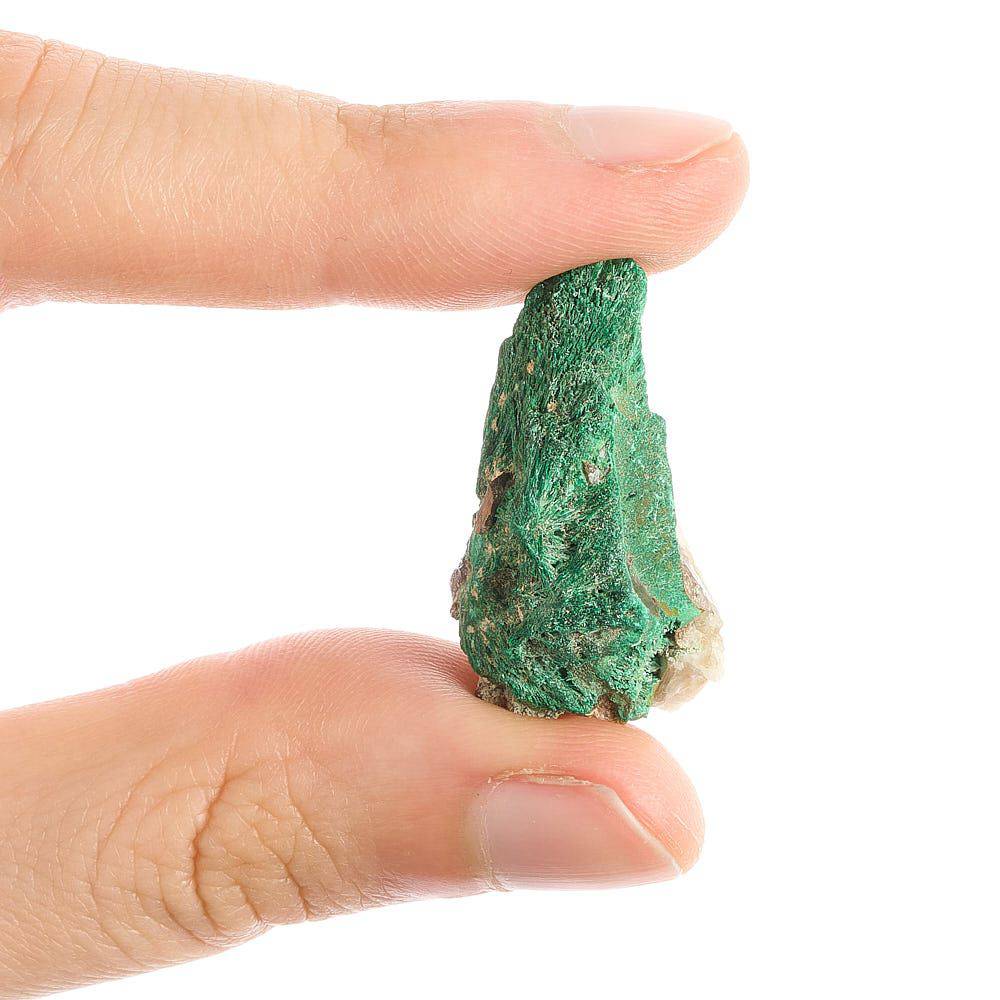 36-Piece Namibian Mini Mineral Collection - Crystal Nest