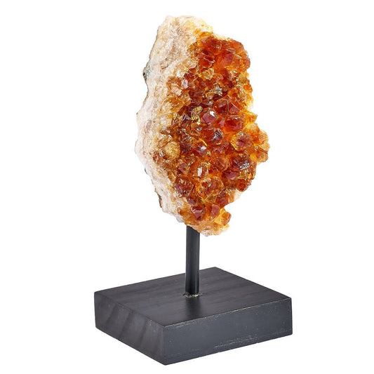 Citrine Druze on Black Wooden Stand | Medium - Crystal Nest