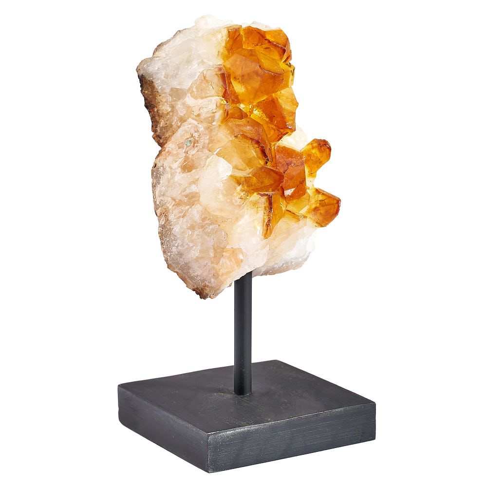 Citrine Druze on Black Wooden Stand | Medium - Crystal Nest