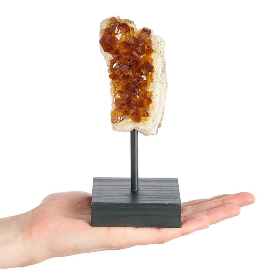 Citrine Druze on Black Wooden Stand | Medium - Crystal Nest