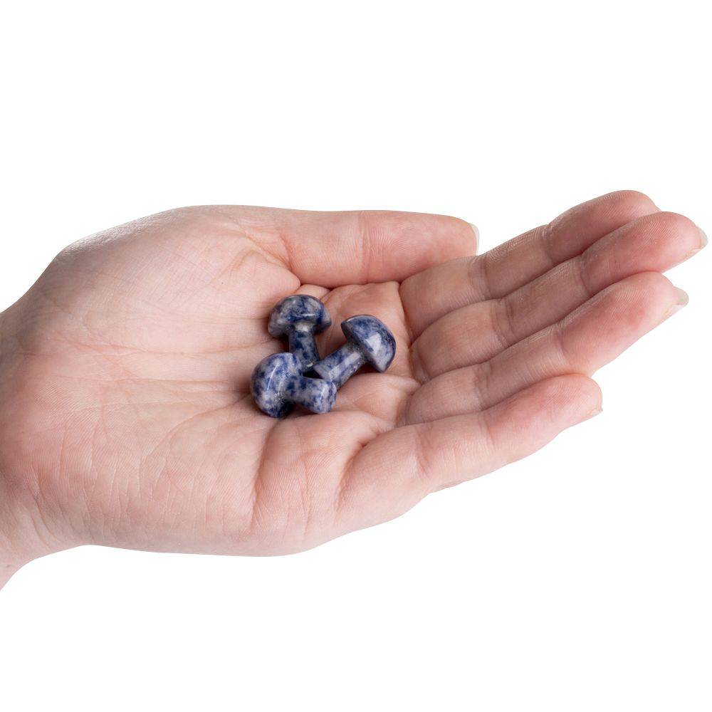 Sodalite Mini Crystal Mushroom - Crystal Nest