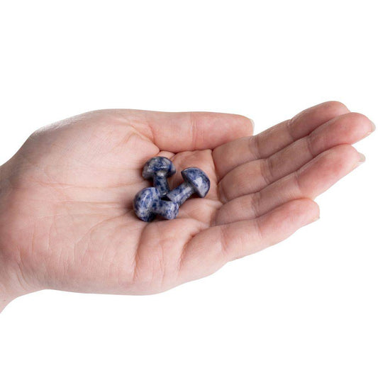 Sodalite Mini Crystal Mushroom - Crystal Nest