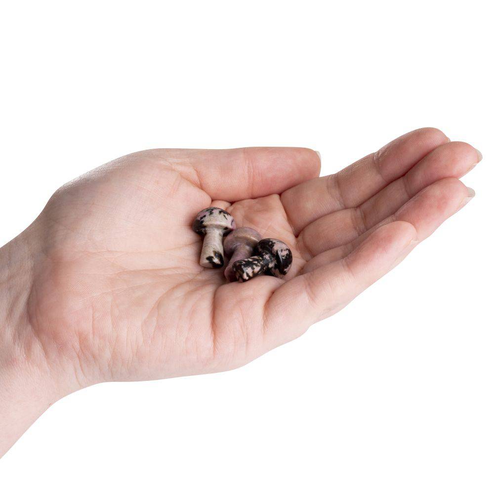 Rhodonite Mini Crystal Mushroom - Crystal Nest
