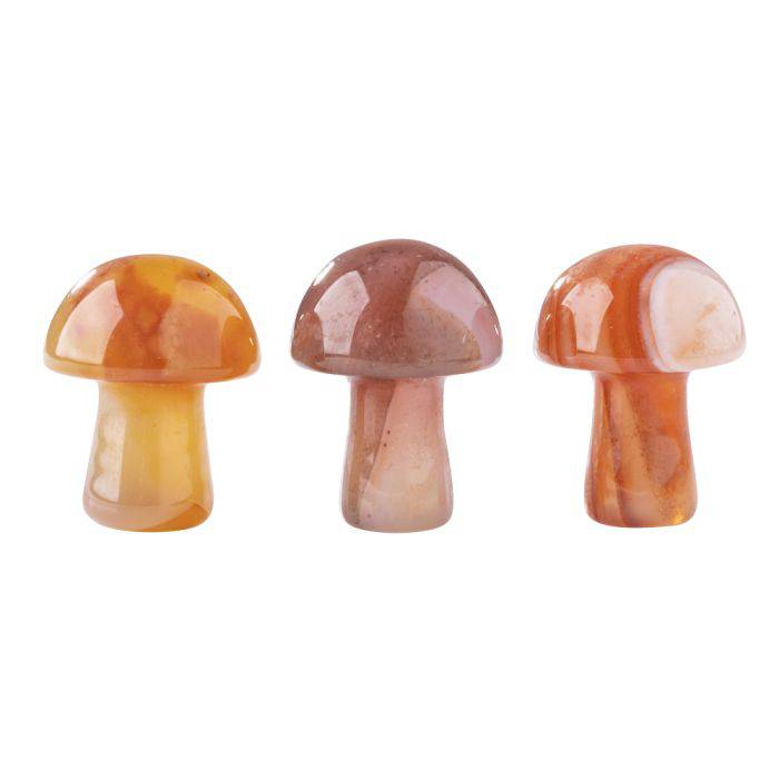 Carnelian Mini Crystal Mushroom - Crystal Nest