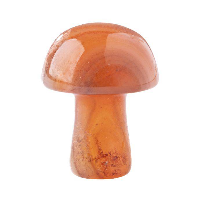 Carnelian Mini Crystal Mushroom - Crystal Nest